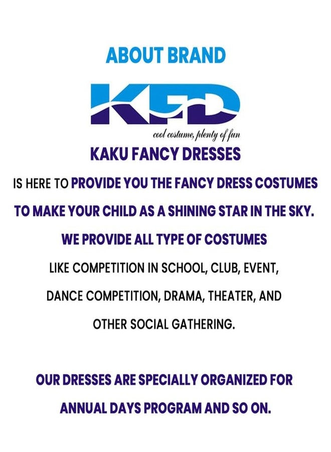 كاكو فانسي دريسيس زي تنكري من البوليستر من كاكو، زي مساعدنا/بطلنا القومي، زي القوات الجوية الهندية - أزرق، مقاس 14-17 سنة، للأولاد والبنات - Image 5